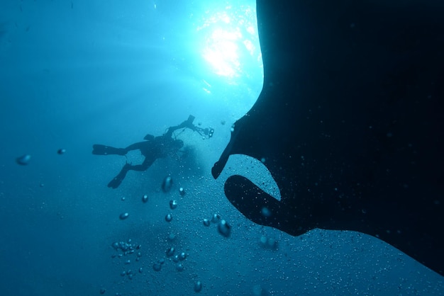 Manta spotyka płetwonurka w głębokim, błękitnym oceanie