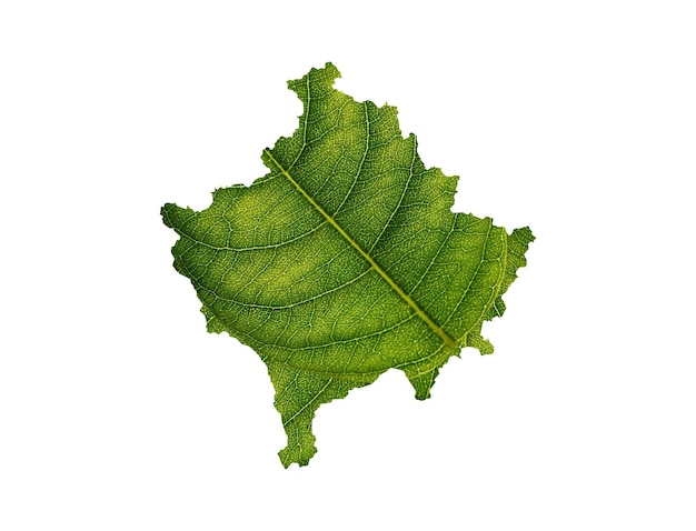 Mapa Kosowa wykonana z zielonych liści na koncepcji ekologii tła gleby