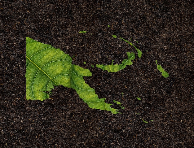 Mapa Papui-Nowej Gwinei wykonana z zielonych liści na koncepcji ekologii tła gleby