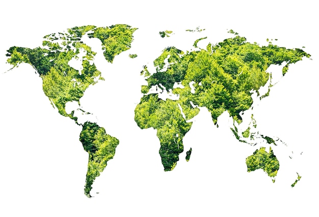 Mapa świata wykonana z zielonego lasu na białym tle