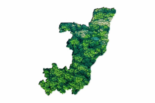 Mapa zielonego lasu Kongo, na białym tle