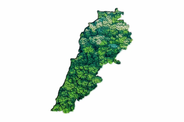 Mapa zielonego lasu Libanu, na białym tle