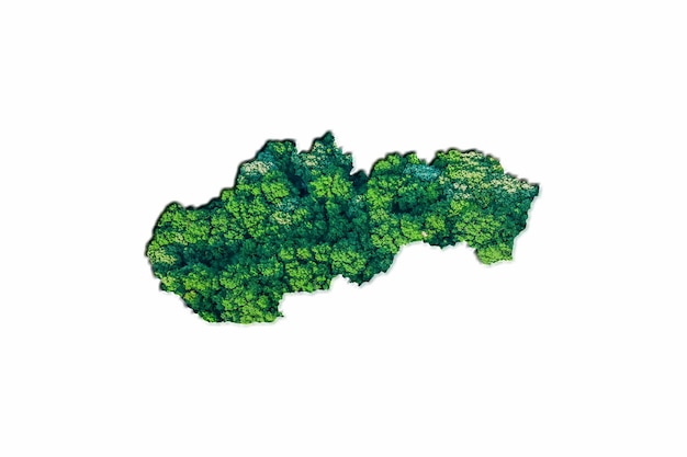 Mapa zielonego lasu Słowacji, na białym tle