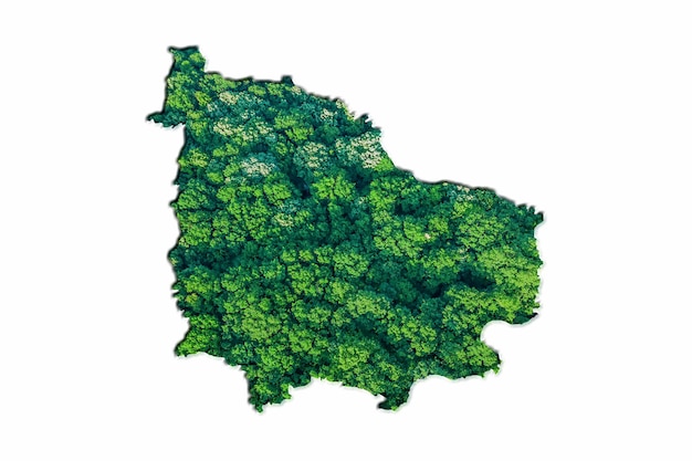 Mapa zielonego lasu wyspy Norfolk, na białym tle