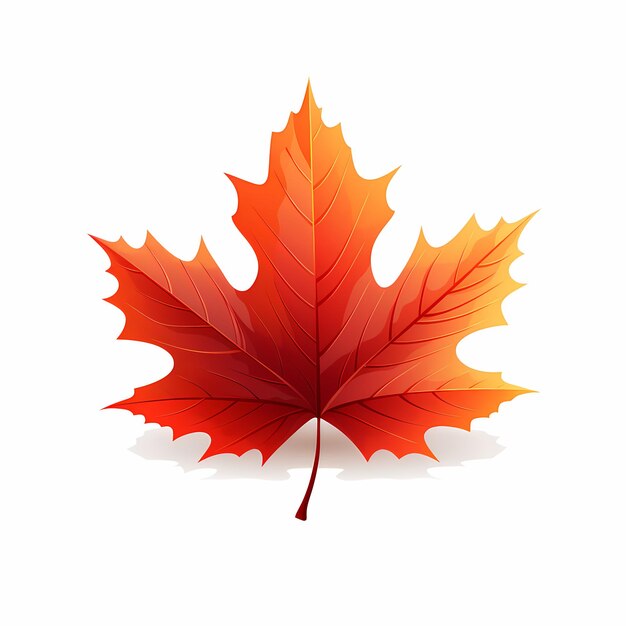 maple_leaf_flat_illustration_on_white_background