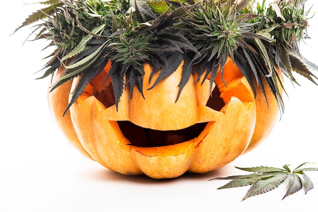 Marihuana i dynia halloweenowa i liście marihuany