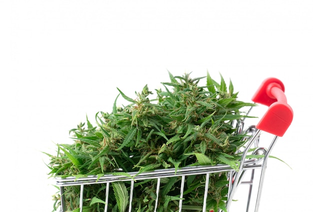 Marihuana Kwiat W Wózek Na Zakupy Odizolowywającym