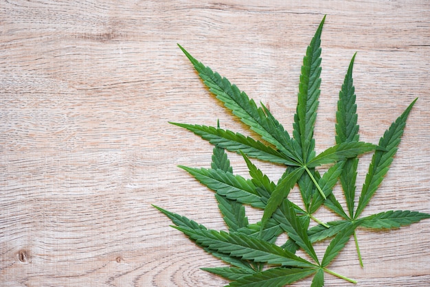 Marihuana opuszcza Konopie medyczne - Liść marihuany na drewnianej ścianie