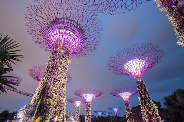 Marina Bay, Singapur, 16 marca 2015: Wielkie drzewo światło pokaż noc dla ludzi oglądać pokaz w Garden By The Bay, Singapur