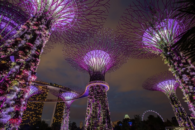 Marina Bay, Singapur, 16 Marca 2015: Wielkie Drzewo światło Pokaż Noc Dla Ludzi Oglądać Pokaz W Garden By The Bay, Singapur