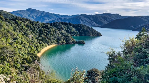 Marlborough Sounds przybrzeżna sceneria