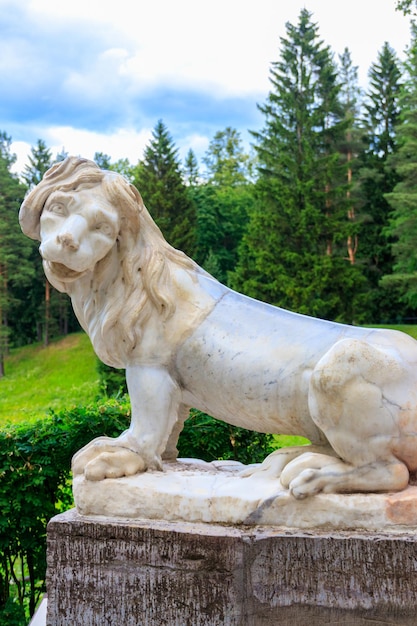 Marmurowy posąg lwa na dużych kamiennych schodach w Pavlovsk Palace Park