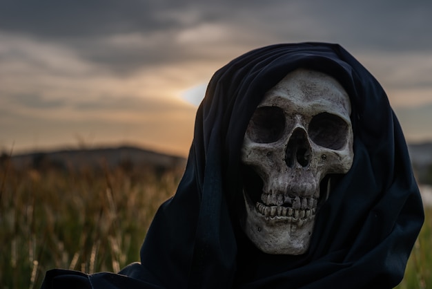 Zdjęcie martwa natura, ludzkie czaszki i kości oblepione suchą trawą w polu, które ma słabe światło.