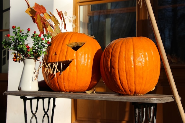 martwa natura z dynią Halloween w jesiennym parku przed kawiarnią z bliska