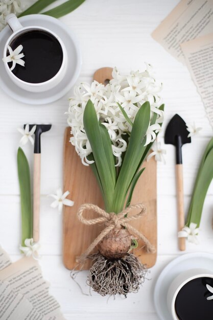 Zdjęcie martwa natura z kwiatem hiacyntu z narzędziami do uprawy cebul i kawą