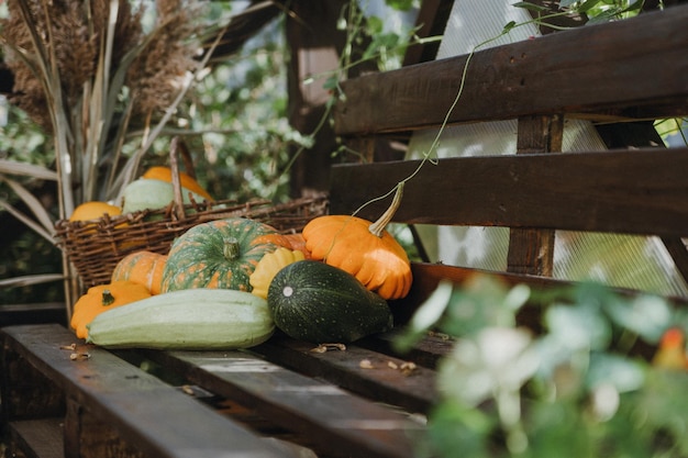 Zdjęcie martwa natura z różnorodnymi dyniami oraz sezonowymi warzywami i owocami sezon jesienny