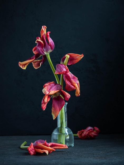 Martwa natura z uschniętymi tulipanami Dzieła sztuki