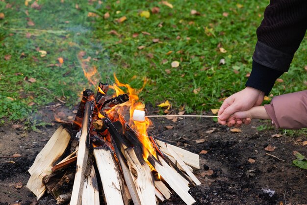 Mashmallow na patyku w rękach smaży się na ogniu Koncepcja jesiennego pikniku w przyrodzie