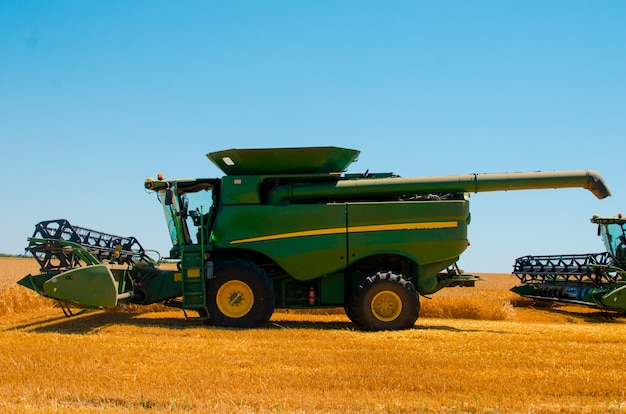 Maszyny rolnicze zbierają plon pszenicy żółtej na otwartym polu w słoneczny, jasny dzień