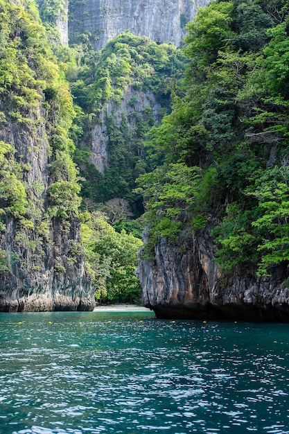 Maya Zatoka Phi Phi Leh Wyspa Krabi Tajlandia