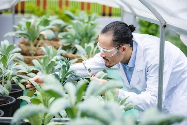 Medycyna Roślinna Biologia Naukowiec Koncepcja Badań Na Zewnątrz Laboratorium Technologii Rolniczej