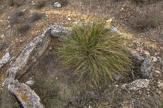 Zdjęcie megalityczny park gorafe. granada - andaluzja, hiszpania.