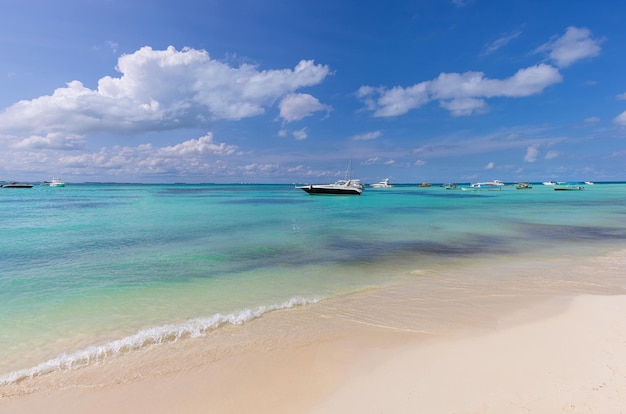 Meksyk Cancun Isla Mujeres Plaża Playa Norte z palmami i piaskiem czeka na turystów