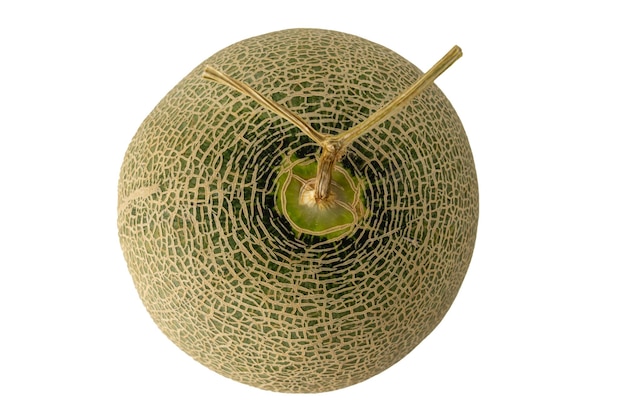 melon na białym tle