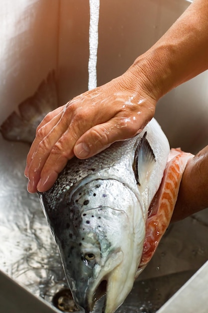 Męskie ręce myją duże ryby. Woda spływająca na rybę. Prawie gotowy do gotowania. Łosoś podawany w drogiej restauracji.