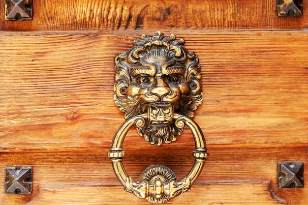 Metalowa dekoracja w postaci głowy lwa na starych drzwiach