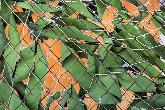 Metalowe ogrodzenie z siatki z zieloną tkaniną