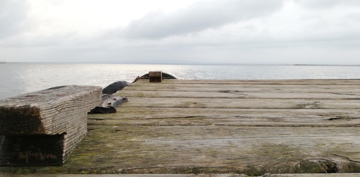 Zdjęcie mewa na plaży na tle nieba