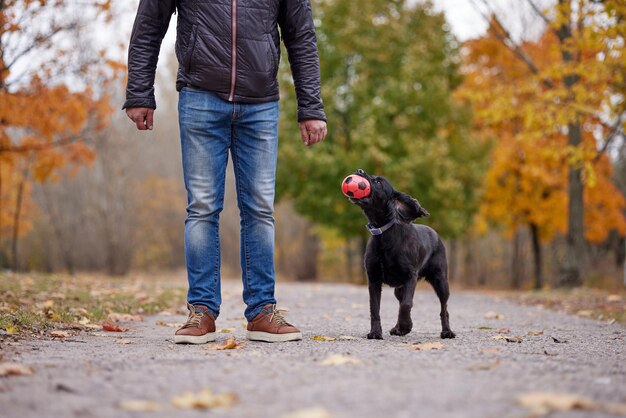 Zdjęcie mężczyzna gra w piłkę z psem w parku jesieni