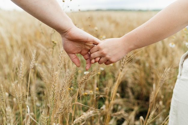 Mężczyzna i kobieta ręka para idzie ręcznie pole pszenicy