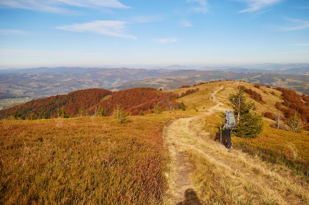 Mężczyzna idący górskim szlakiem w Karpatach na Ukrainie Piesze i piesze szlaki na grzbiecie Borżawy Wiejski obszar Karpat jesienią
