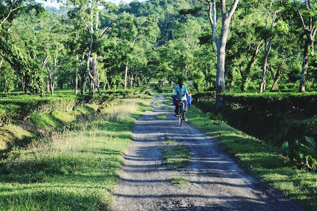 Zdjęcie mężczyzna jeżdżący na rowerze po ścieżce wśród drzew w parku narodowym kaziranga