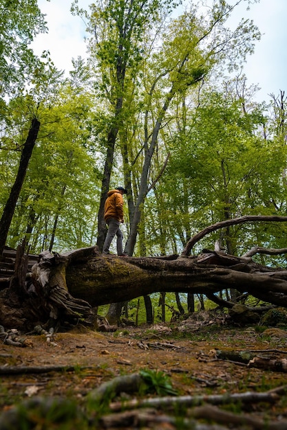 Mężczyzna Na Szczycie Zwalonego Drzewa Obok Pięknego Dolmen W Kraju Basków Errenteria Gipuzkoa