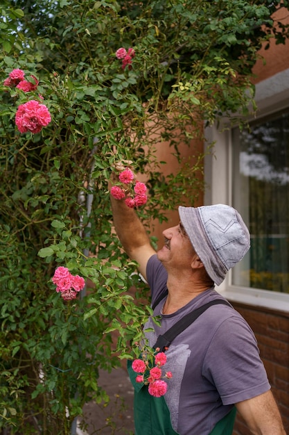 Zdjęcie mężczyzna ogrodnik cięty cieszyć się aromatem różanych kwiatów w cudownym ogrodzie w słoneczny dzień