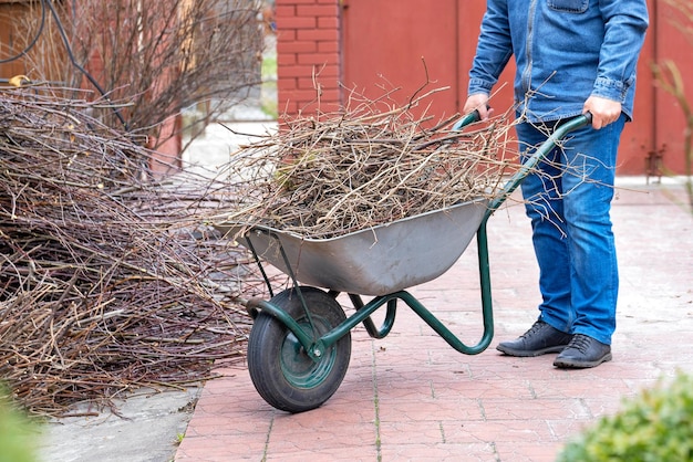Mężczyzna ogrodnik przenosi gałęzie wycięte w ogrodzie za pomocą wózków ogrodowych podczas czyszczenia