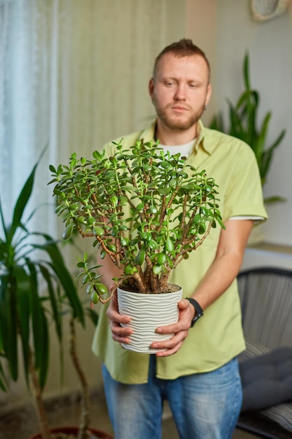 Mężczyzna ogrodnik trzyma w ręku garnek Grubosz w domu, dbając o rośliny doniczkowe