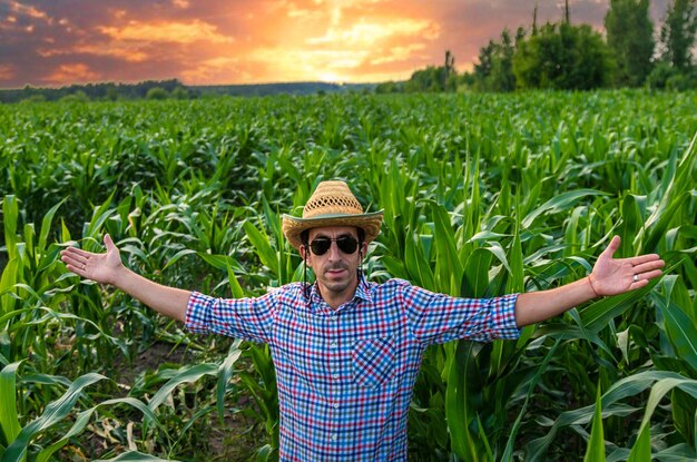 Mężczyzna rolnik sprawdza pole kukurydzy Selektywne fokus