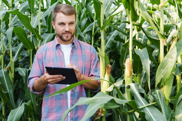 Mężczyzna Rolnik Sprawdzanie Roślin W Swoim Gospodarstwie. Koncepcja Agrobiznesu, Inżynier Rolnictwa Stojący W Polu Kukurydzy Z Tabletem, Pisze Informacje. Agronom Sprawdza Uprawy, Rośliny.