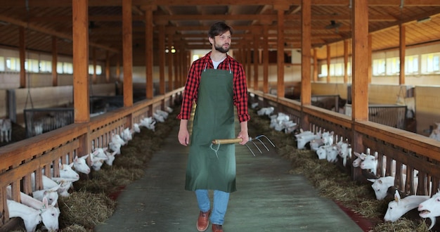 Mężczyzna Rolnik W Zielonym Fartuchu Z Widłami W Stodole Chodzenia, Sprawdzający Etap Produkcji Mleka Na Nowoczesnej Stajni Kóz Rolnicza Koncepcja Ekologicznej Przedsiębiorczości