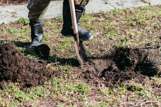 Mężczyzna sadzi młode drzewo Rolnik kopie ziemię łopatą pod małą sadzonkę Koncepcja ochrony środowiska i ekologii