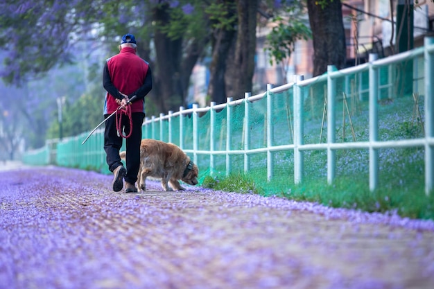 Mężczyzna spacerujący ścieżką z psem na tle ogrodzenia.