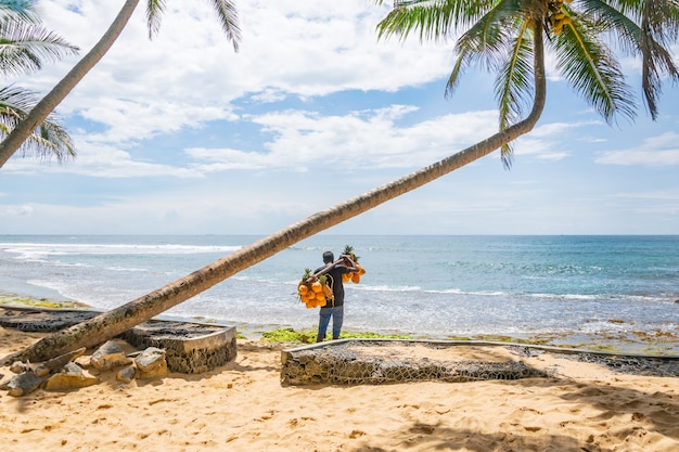 Mężczyzna sprzedający kokosy i ananasy na plaży, Hikkaduwa, Sri Lank