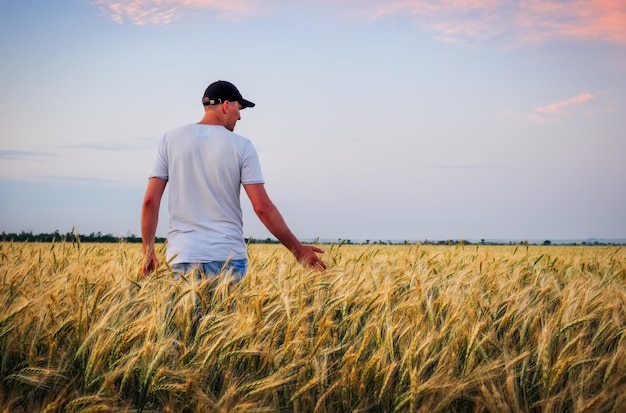 Mężczyzna stojący na polu pszenicy podczas zachodu słońca Człowiek cieszy się naturą