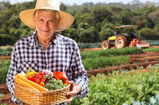 Mężczyzna trzyma kosz ze zdrowych organicznych warzyw. Tło plantacji.