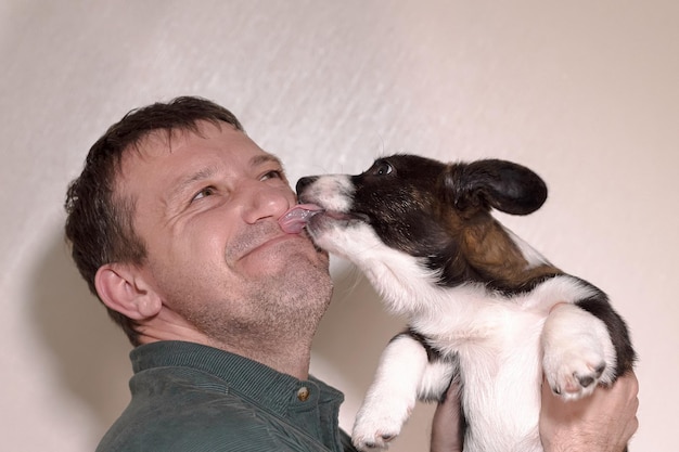 Mężczyzna trzyma w ramionach małego szczeniaka Welsh Corgi Pembroke Pies rasowy