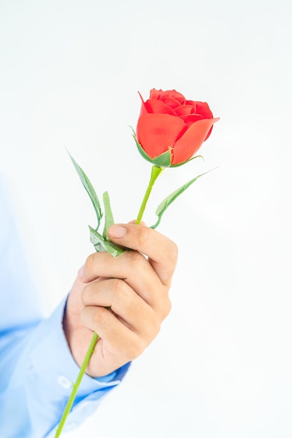 Mężczyzna trzymający czerwoną różę w ręku na białym